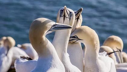 开云体育_ 《QQ飞车手游》亚洲杯决赛落幕，中国选手夺冠，qq飞车手游亚洲杯总决赛