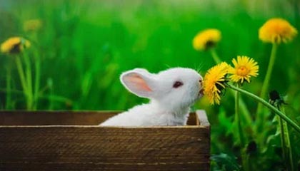 开云体育_ 东亚杯：中国 1-2 日本，年轻球员需努力，东亚杯2021