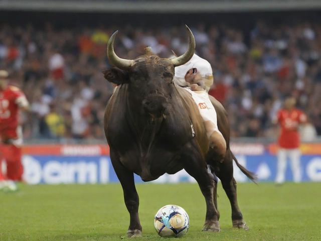 开云体育_ 公牛的未来：重塑球队的崇高愿望，公牛对开拓者总决赛第六场