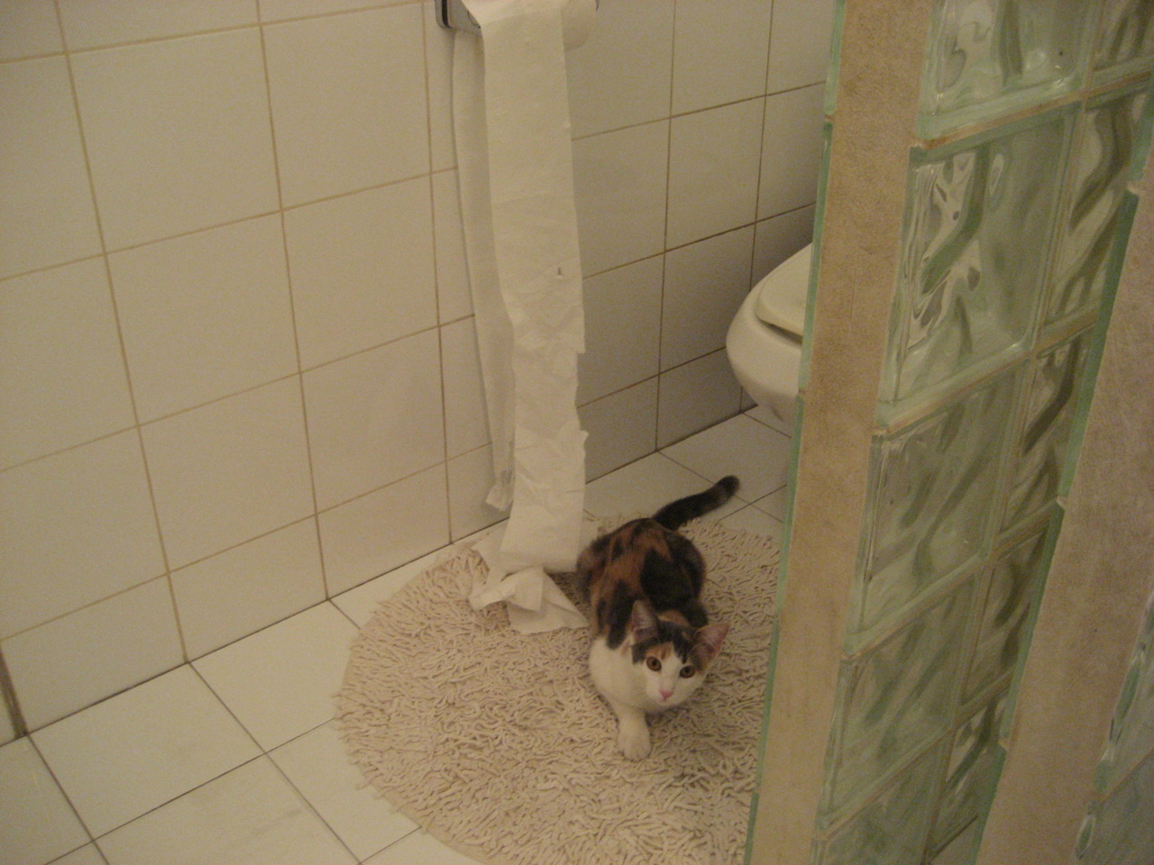 _热火铁血防守，连战连捷_，热火战术