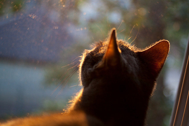 中超联赛新赛季正式拉开帷幕，中超 新赛季
