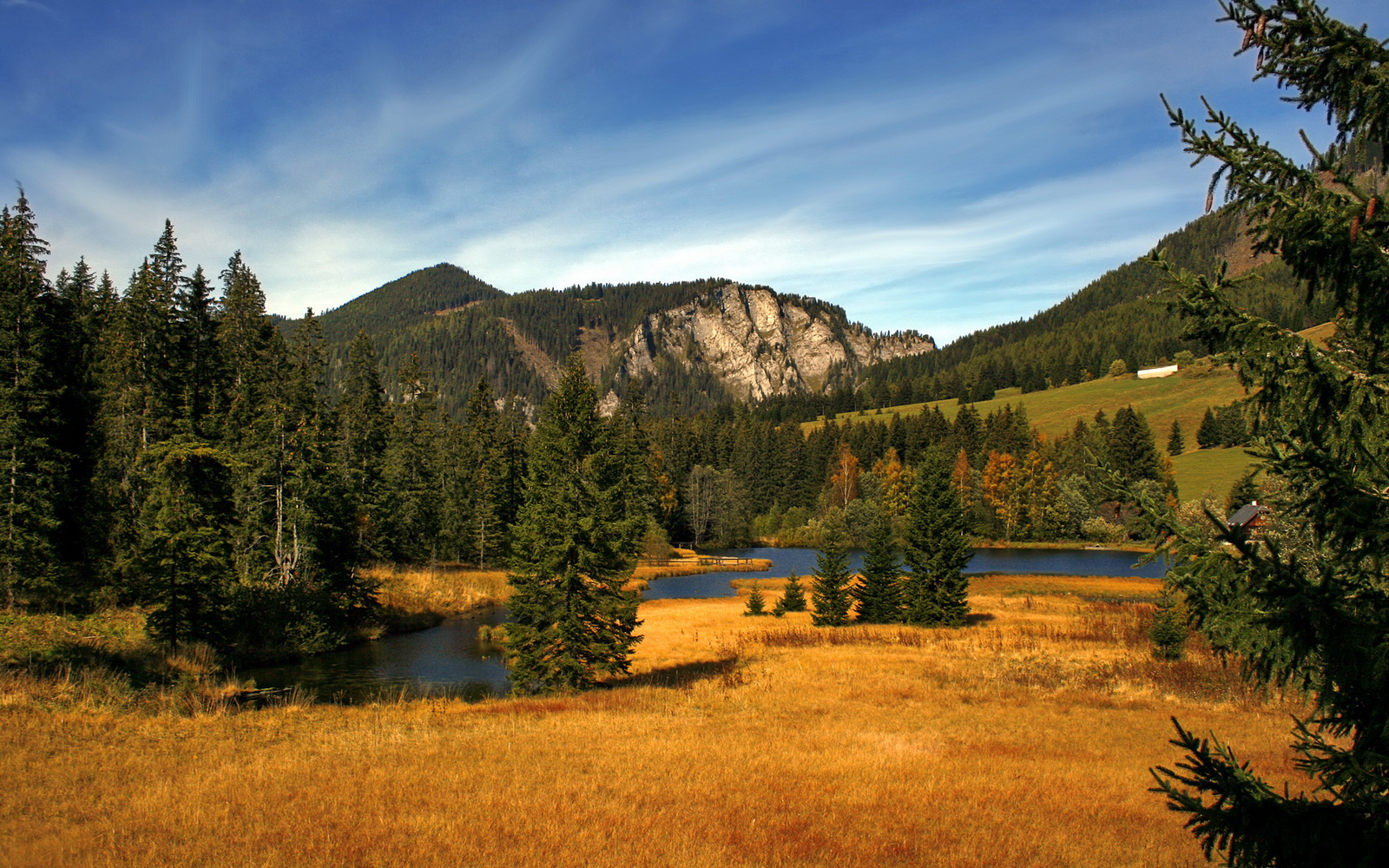 史上最年轻的“冠军得主”揭秘，未来之星崭露头角，历史最年轻总冠军
