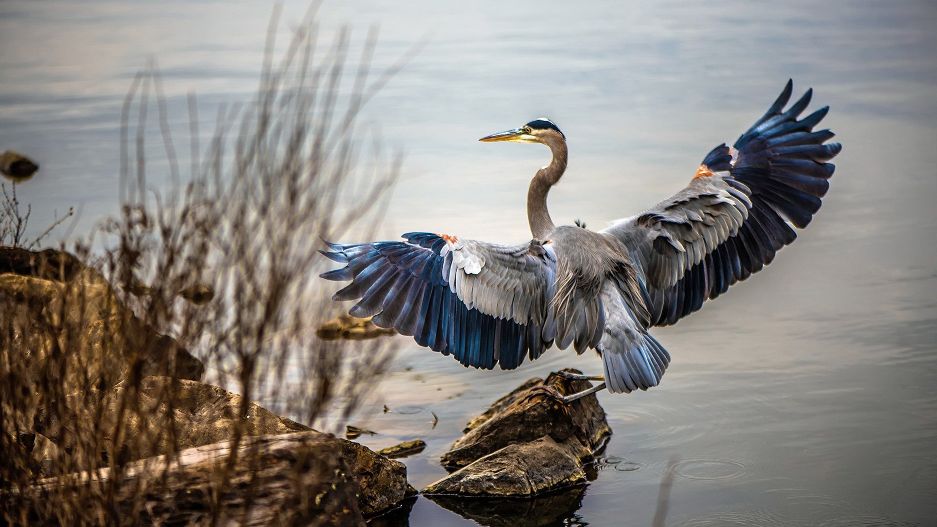 在男双决赛中,王楚钦与樊振东以4-0战胜韩国组合,助力中国队实现男双项目的三连冠。