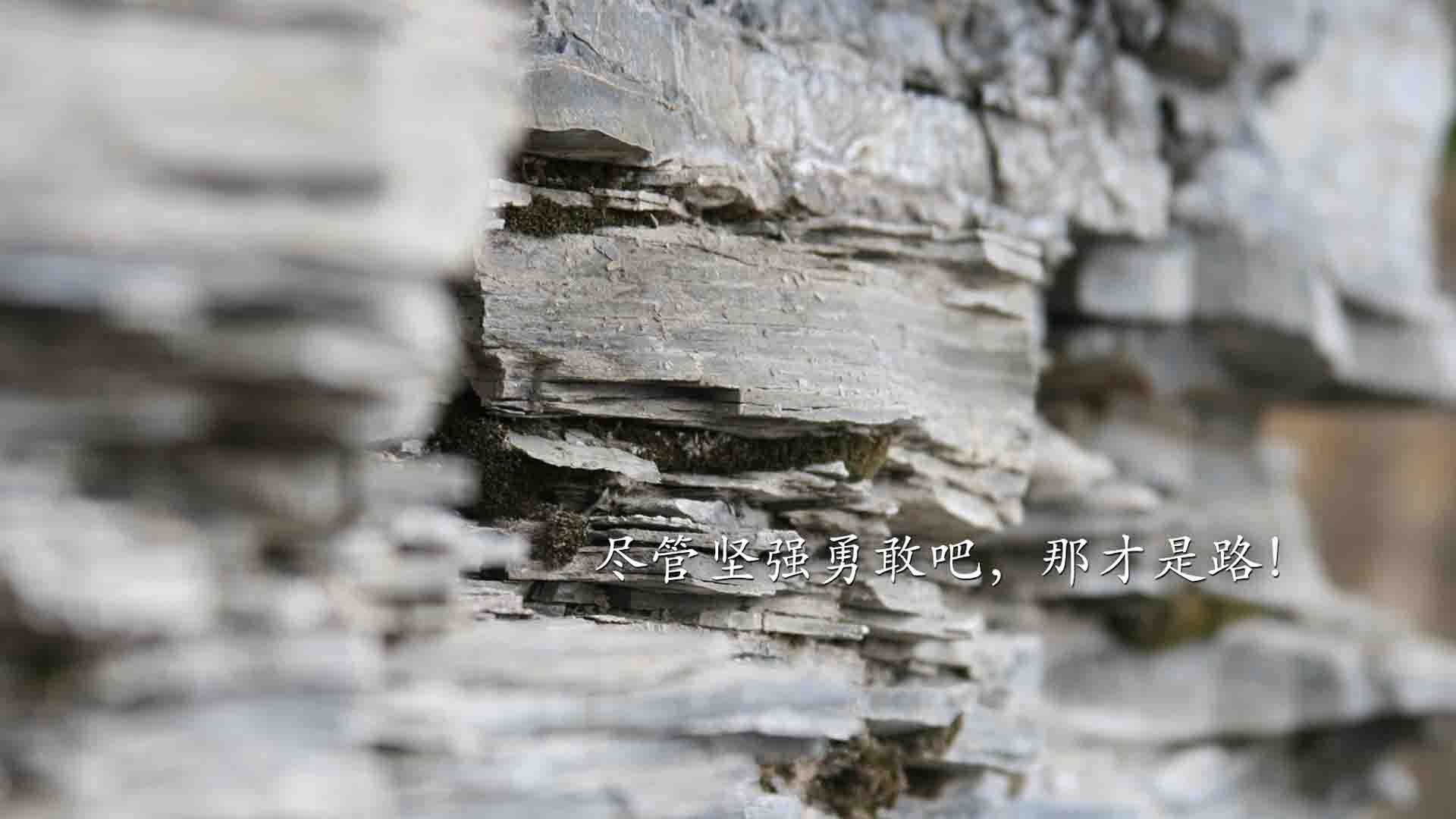 城市灯光夜跑挑战，点亮夜色的运动盛宴，夜间跑道灯光