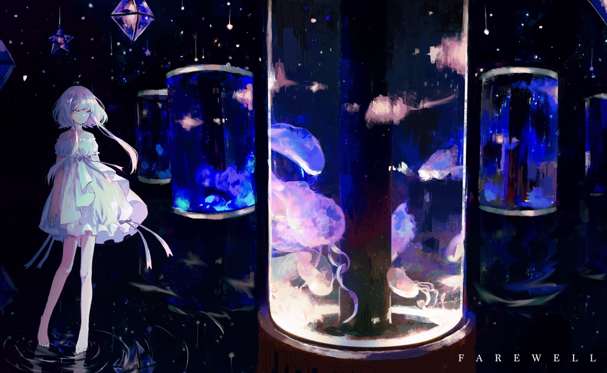 塞内加尔骑手阿卜杜·巴荣获2024年最佳障碍赛骑手奖,表彰其卓越表现。