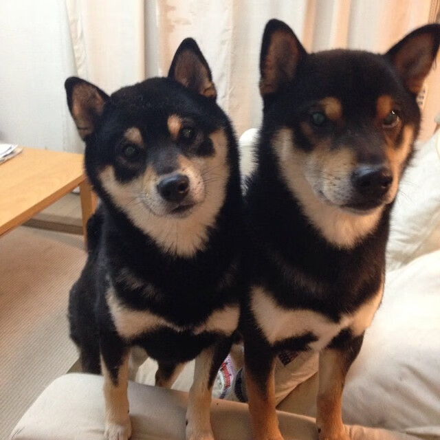 欧冠历史上的“绝唱”时刻，永藏记忆最深处，欧冠历史夺冠球队大全