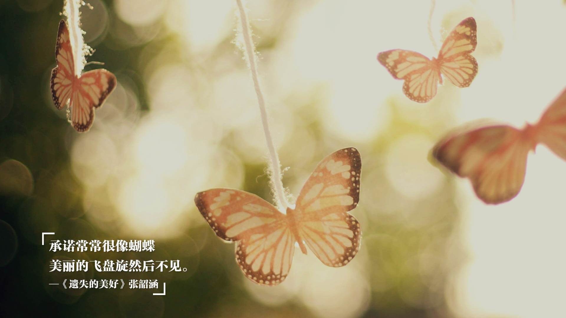 观赛指南：如何享受完整的欧冠大餐？，欧冠冠军规则