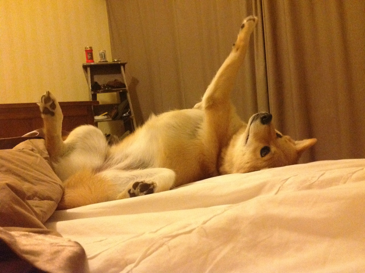 费城76人追求东部冠军,目标直指总冠军!,费城76人队冠军