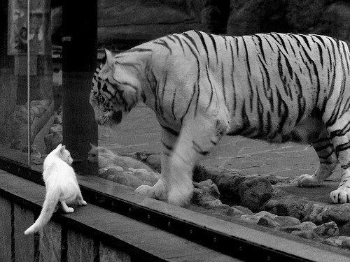 中超球员赛后恢复系统全面升级，2021中超恢复