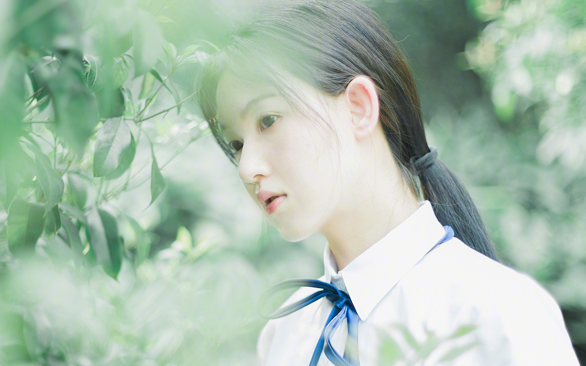 新疆广汇球员转会市场受关注，新疆广汇队球员名单