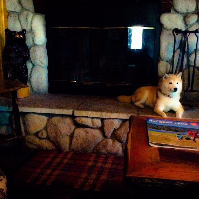 热血激战，球场上的荣誉之战即将打响，热血激战十足过瘾电影名字