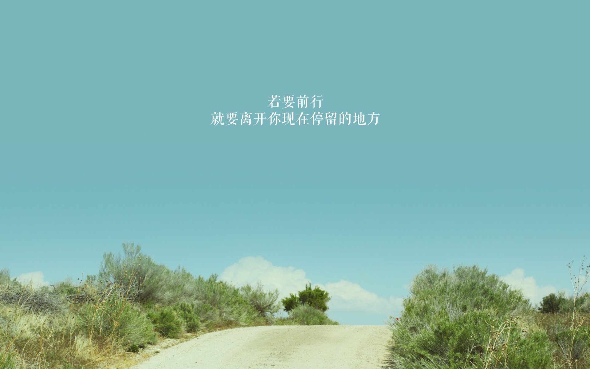 猛龙锋线伤情有所好转,球队士气大增,猛龙 大前锋