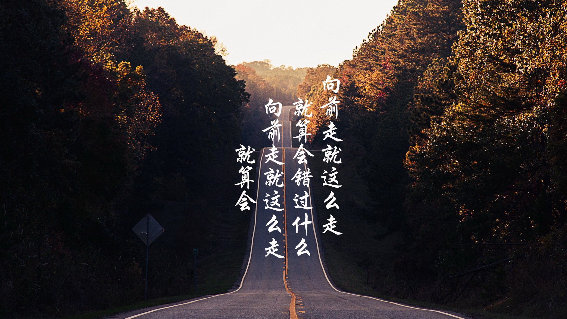 青少年体育运动健康促进,促进青少年体育发展