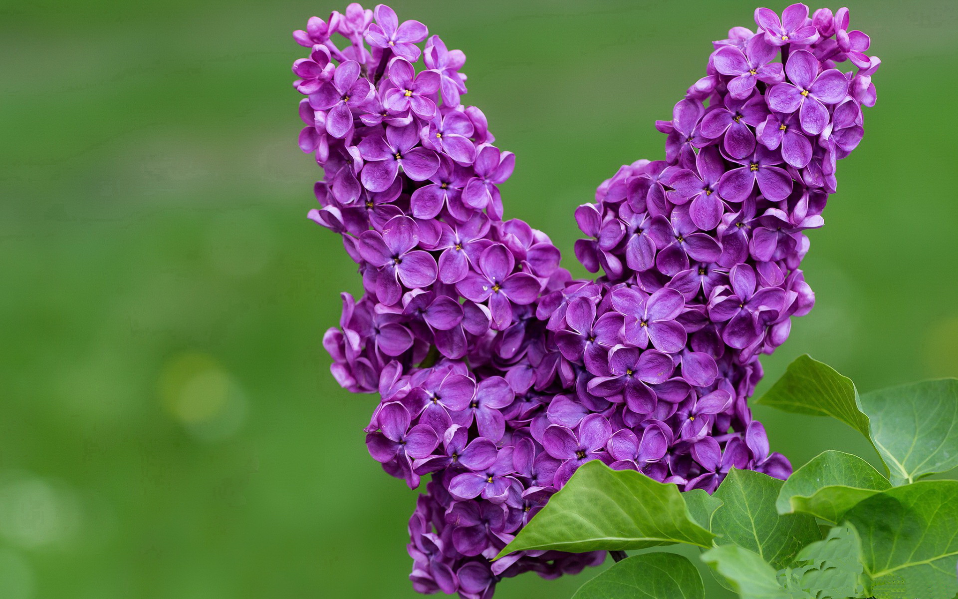 体育新闻中心参与全国体育科技传媒融合政策研讨，cctv体育新媒体