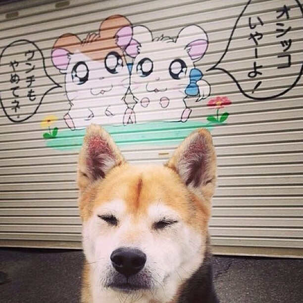 外教任期短导致球队风格不稳定，外教任期短导致球队风格不稳定怎么办