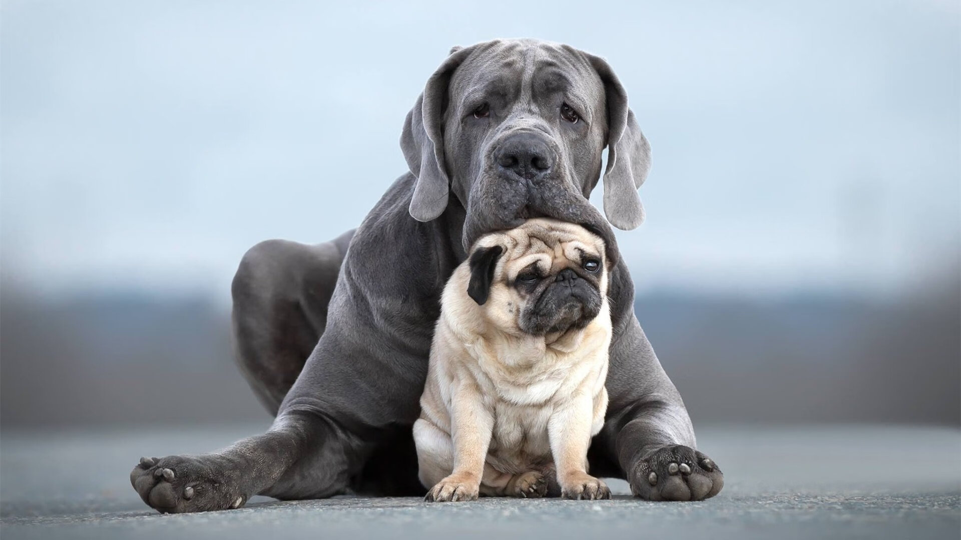 热门解析谁才是网坛下一位王者,网坛一姐是谁