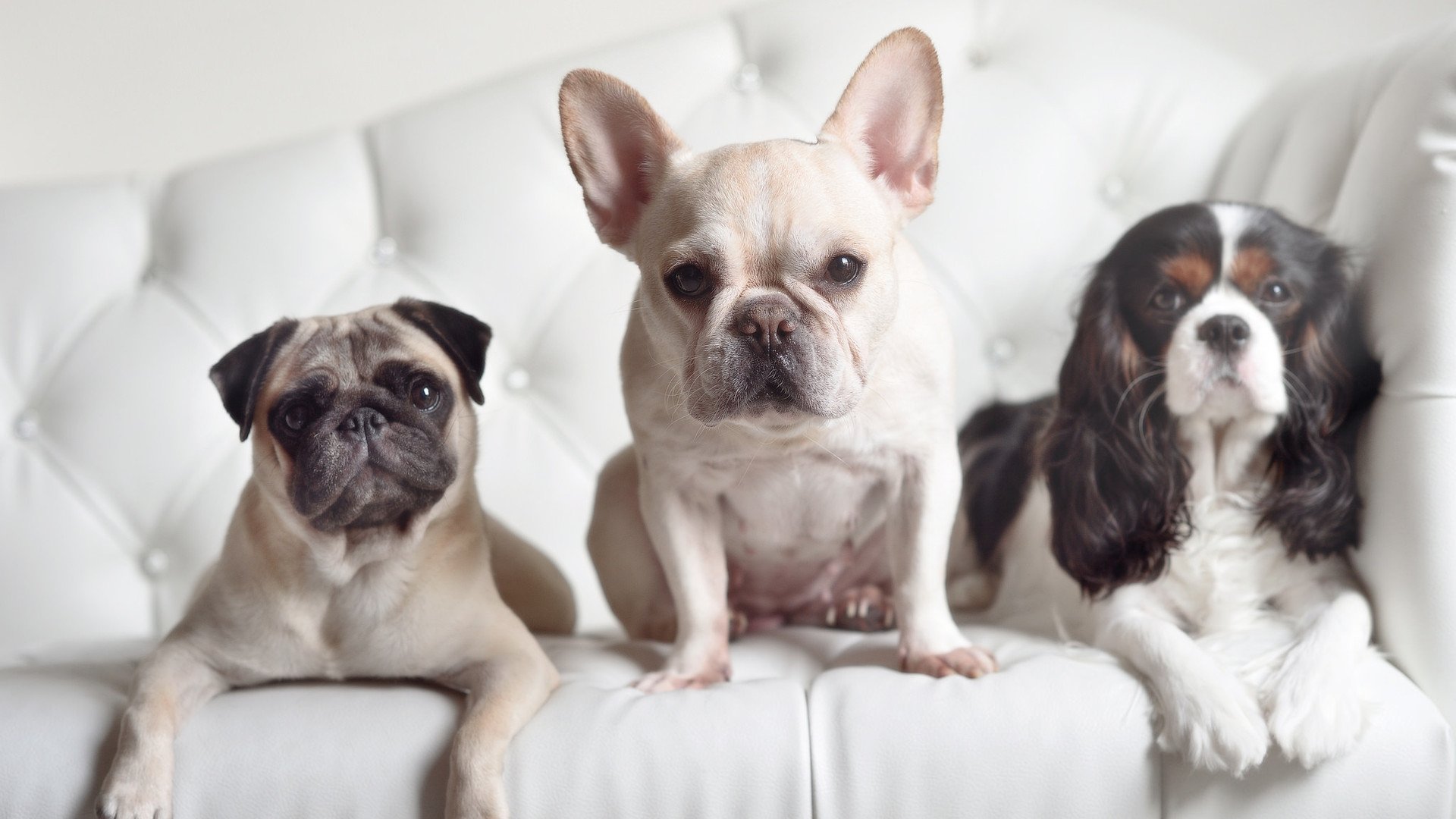 英雄联盟冠军皮肤设计曝光粉丝期待值拉满，英雄联盟所有冠军系列皮肤