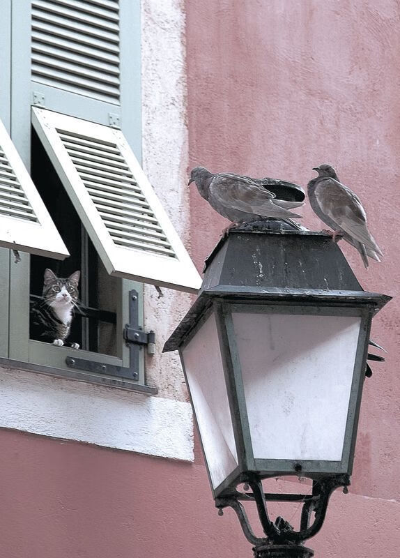 数字孪生技术在足球场馆中的应用不断深入，优化管理运营，数字孪生解决方案