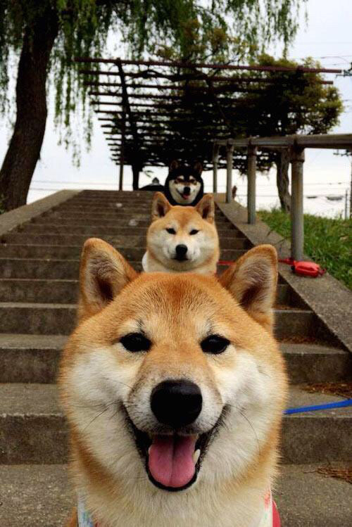 李恩：全黑队进攻的中坚力量，灵活跑位撕开防线，李恩采访视频