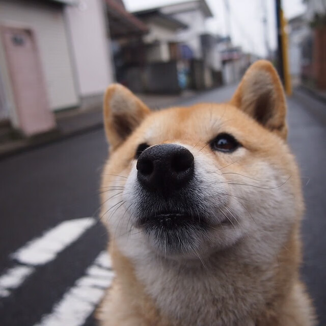 欧洲杯战术巧妙：变化多端，精彩纷呈！，欧洲杯技术分析